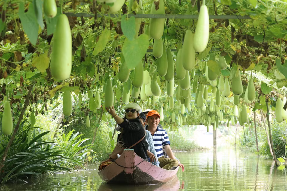 Turistas realizan un viaje en barco para visitar el área de cultivo de calabazas de la zona turística de Tran Ba Chuot, distrito de Lai Vung. (Fuente: VNA)