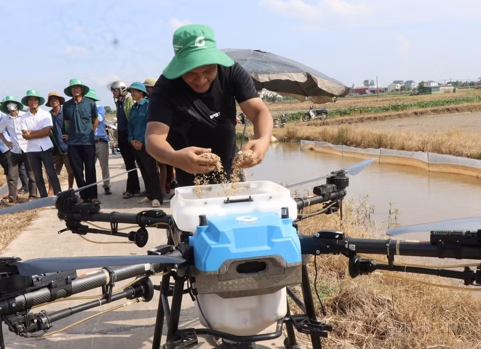 Agricultores de Bac Ninh se preparan para sembrar semillas de arroz utilizando drones. (Fuente: VNA)