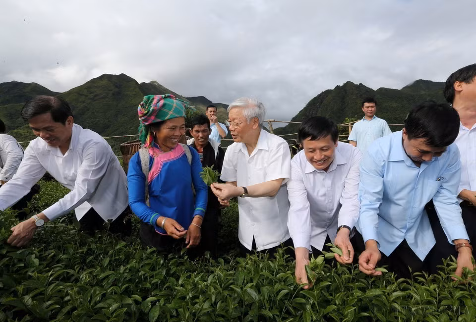 El secretario general del Partido Comunista de Vietnam, Nguyen Phu Trong, visitó el 14 de julio de 2016 el modelo de producción intensiva de té VIETGAP en el distrito de Tam Duong, provincia norteña de Lai Chau. (Fuente: VNA)