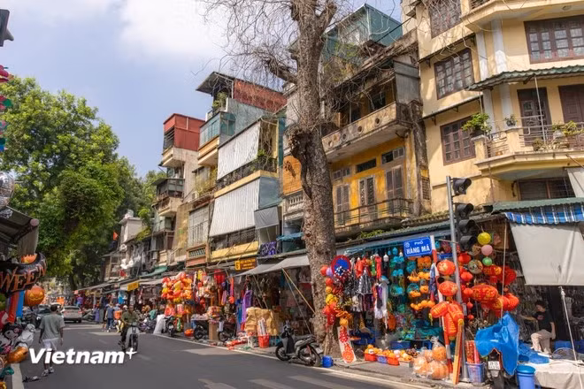 Situada en el corazón del casco antiguo de Hanoi, la calle Hang Ma es conocida por su ambiente bullicioso durante todo el año, especialmente durante el Tet (Año Nuevo Lunar) o el Festival del Medio Otoño. Aquí se reúnen comercios especializados en la venta de decoración, desde farolillos, papeles votivos hasta otro tipo de artículos decorativos hechos a mano. (Foto: Vietnam+)