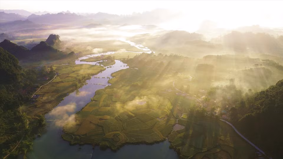Los campos cosechados se intercalan con los de arroz maduro en la comuna de Phong Nam. (Fuente: Revista Vietnam)