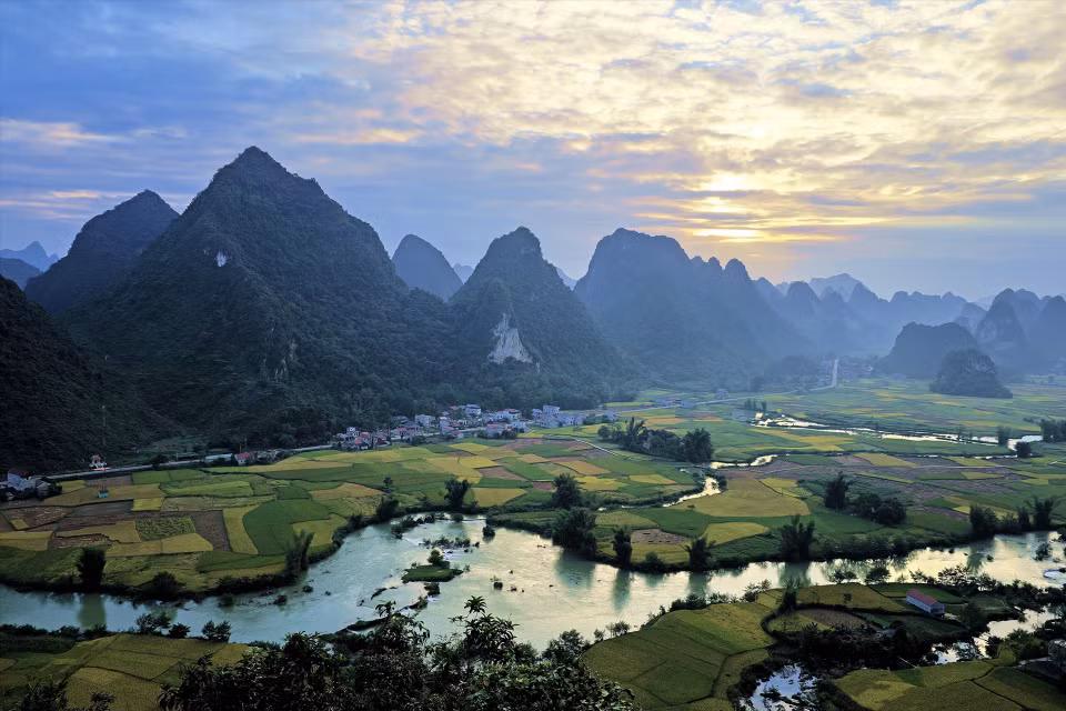 Campos de arroz maduros en la comuna de Phong Nam a primera hora de la mañana.(Fuente: Revista Vietnam)
