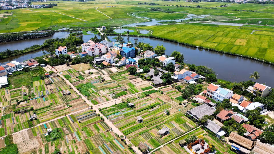La zona de cultivo de Tra Que se ubica en un área tranquila al lado del río de De Vong (Foto: VNA)