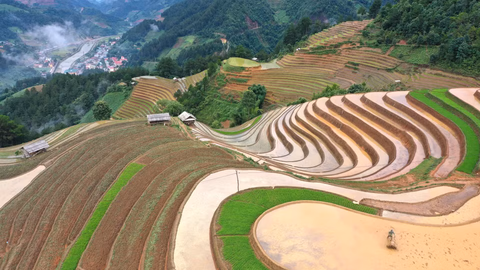 La temporada de lluvia hace que aparezcan las terrazas de arroz con el color marrón del suelo, intercalados con el color del arroz tierno, creando escenas poéticamente hermosas. Foto: Tuan Anh/VNA