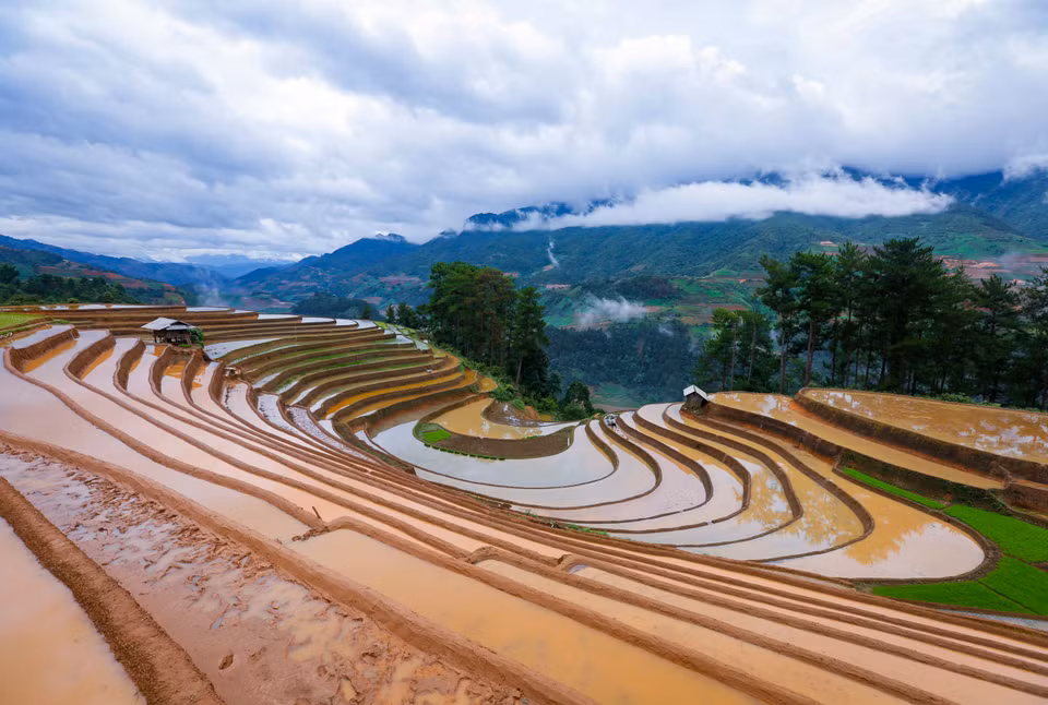 Los vastos bancales de arroz durante la temporada de lluvia fueron creados aquí por el pueblo de la étnia Mong. Foto: Tuan Anh/VNA