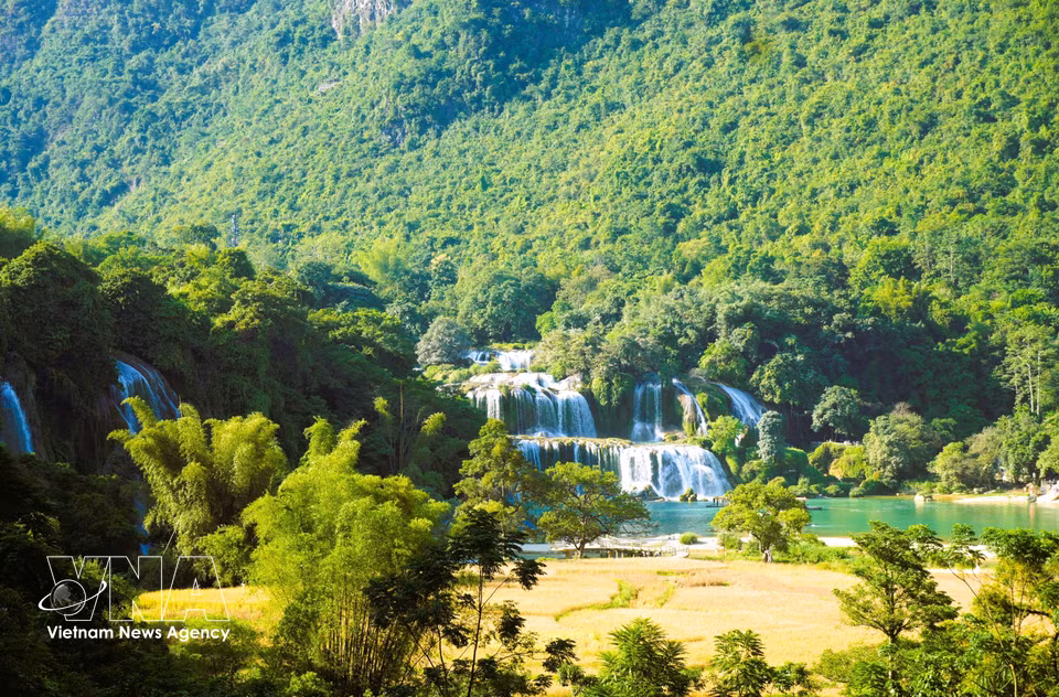 El salto principal de la cascada de Ban Gioc tiene unos 50 metros de ancho y 35 de altura. (Foto: VNA)