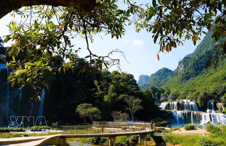 Un puente permite a los visitantes acercarse y disfrutar de la belleza infinita de la cascada de Ban Gioc. (Foto: VNA)
