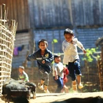 Logros en educación, salud y bienestar social: una base sólida para el desarrollo sostenido de Vietnam