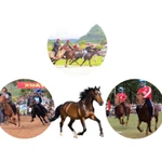 Algunos festivales tradicionales de carreras de caballos en Vietnam