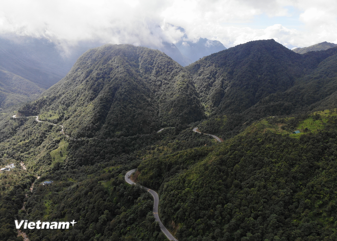 La superficie totalde bosque que cumplió con las normas para el cálculo de la cobertura forestalfue de 13 millones 926 mil 43 hectáreas, resultando en un porcentaje del 42,02 por ciento. (Fuente: Vietnamplus) rung-tu-nhien.png