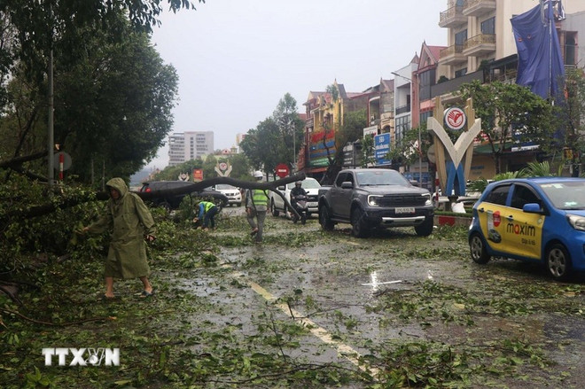 Muchos árboles caídos en la calle Le Duan, distrito de Thanh Vinh (Nghe An). (Foto: VNA) nghe-an-bao-so-5.jpg