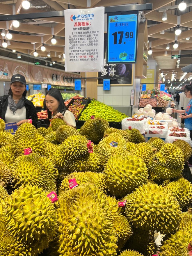 El durián vietnamita es cada vez más popular entre los consumidores chinos. (Foto: Internet) sau-rieng.jpg