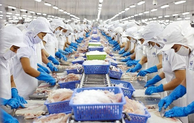 La economía de Vietnam mantendrá un sólido desarrollo durante los próximos dos años, pero puede usar su margen fiscal para afrontar de mejor forma la creciente incertidumbre global. (Fuente: Vietnamplus) thuysan.jpg