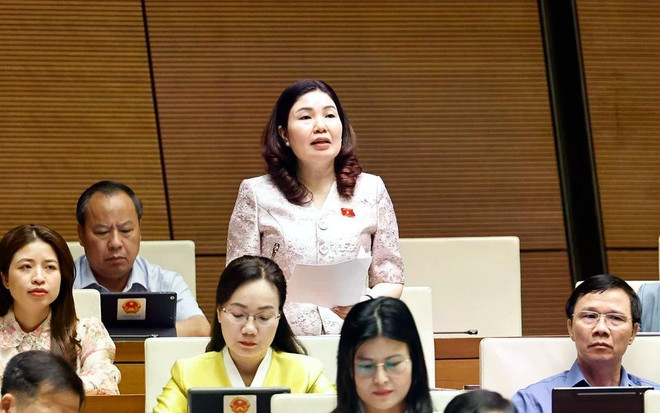 Tran Thi Van, diputada de la provincia de Bac Ninh, habla en el evento. (Foto: VNA) vnapotalquochoithaoluanveduthaosuadoibosungluatquangcao8023794-1747615971925921045674.jpg