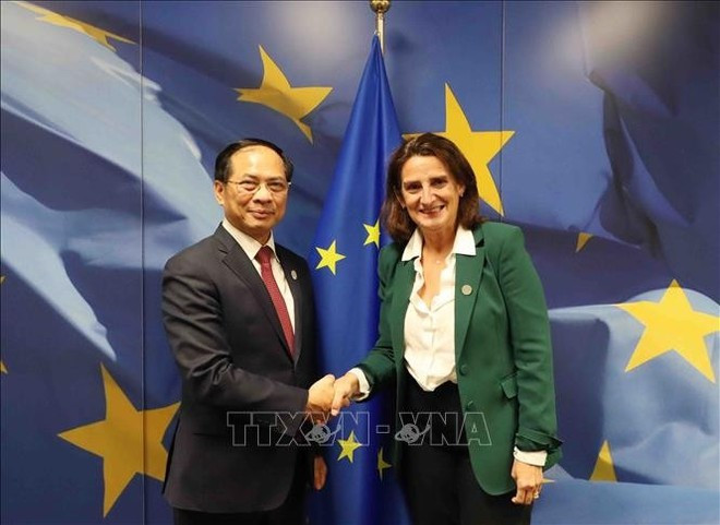 El subjefe de Gobierno vietnamita Bui Thanh Son se entrevista con la vicepresidenta permanente de la CE, Teresa Ribera. (Fuente: VNA) vna-potal-viet-nam-chu-dong-thich-ung-giu-vung-hoa-binh-va-phat-trien-ben-vung-stand.jpg