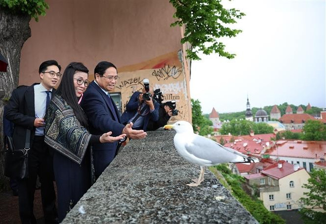 El primer ministro vietnamita, Pham Minh Chinh, y su esposa visitan el espacio, la arquitectura y la historia del casco antiguo de Tallin. (Foto: VNA) vna-potal-thu-tuong-va-phu-nhan-tham-quan-khu-pho-co-tallinn-cua-estonia-8074906.jpg