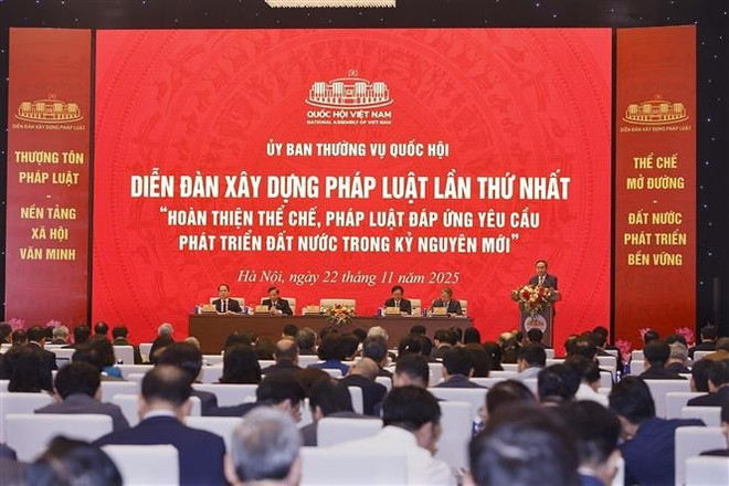 vna-potal-dien-dan-xay-dung-phap-luat-lan-thu-nhat-8425514.jpg