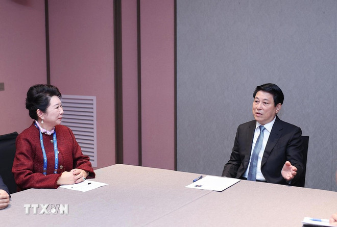 El presidente de Vietnam, Luong Cuong, recibe a Li Li, fundadora del Grupo MEBO International de China. (Fuente: VNA) cuong-1.jpg