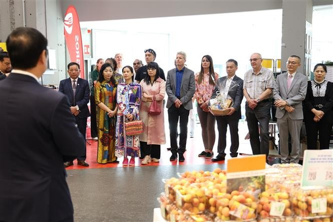 Delegados en el evento. (Fuente: VNA) vna-potal-dua-vai-thieu-bac-giang-den-gan-hon-voi-khach-hang-duc-8099455.jpg