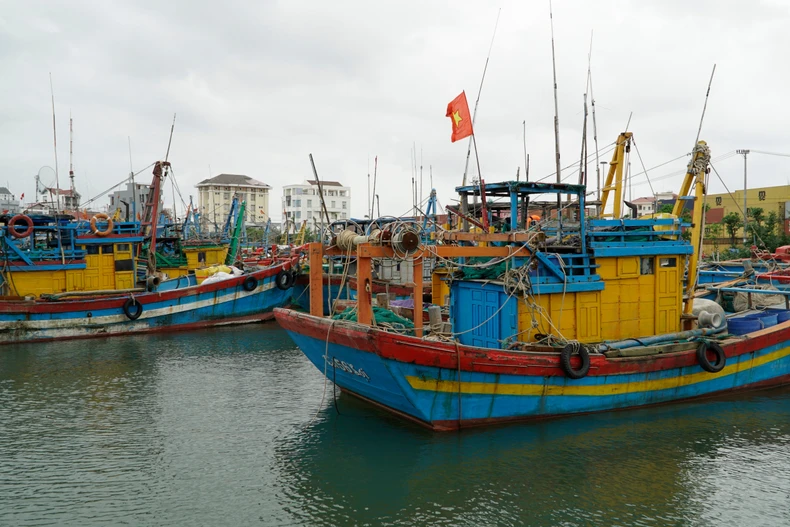 Foto de ilustración. (Fuente: VNA)