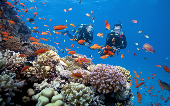 Buceo en Phu Quoc (Fuente: Sun Group) lan-bien-phu-quoc.jpg