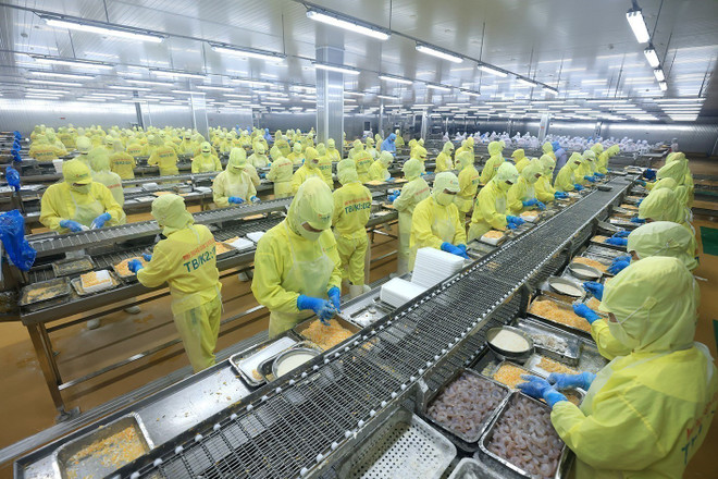 Procesamiento de camarones para la exportación. Los camarones se encuentran entre los principales productos de exportación de Vietnam al mercado estadounidense. (Foto: VNA) vna-potal-viet-nam-hoa-ky-30-nam-vuot-qua-khac-biet-cung-co-quan-he-doi-tac-chien-luoc-toan-dien-8134901.jpg