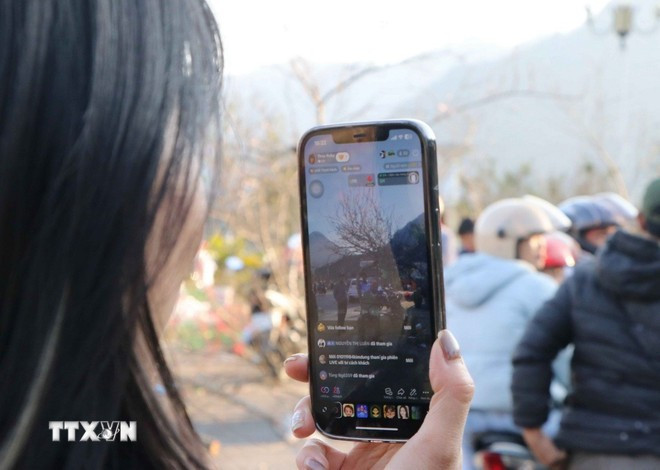 Muchas personas transmiten en vivo la venta de flores de durazno a través de redes sociales en el mercado de flores de Tet, en la ciudad de Lai Chau. (Foto: VNA) 30-lai-chau-cnghe-so.jpg