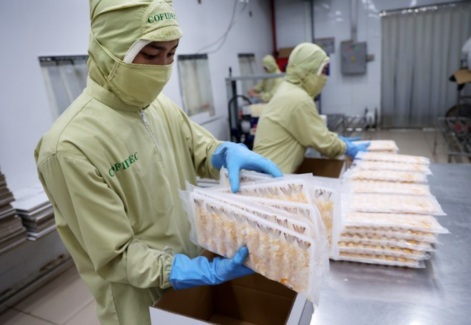 Envasado de productos de camarón procesados para exportación a Japón. (Foto: VNA) nhieu-co-hoi-xuat-khau-nong-san-sang-nhat-ban-7287924.jpg