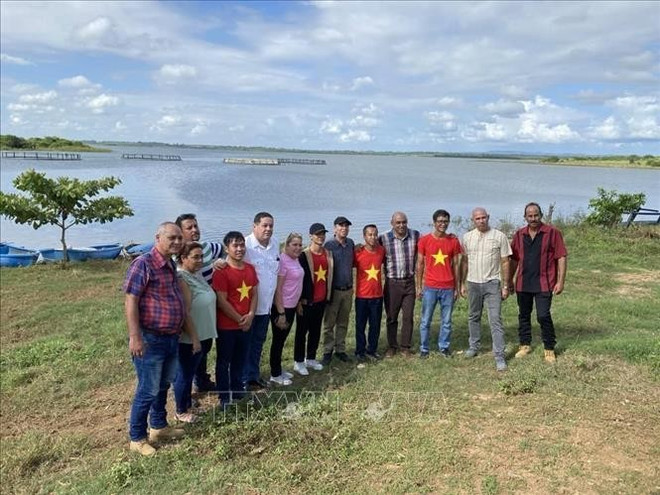 Grupo de expertos vietnamitas y cubanos en el acuario del distrito de Palacios, provincia de Pinar del Río. (Foto: VNA) vna-potal-hon-mot-thap-ky-chuyen-giao-cong-nghe-nuoi-ca-ro-phi-cho-cuba-stand-3.jpg