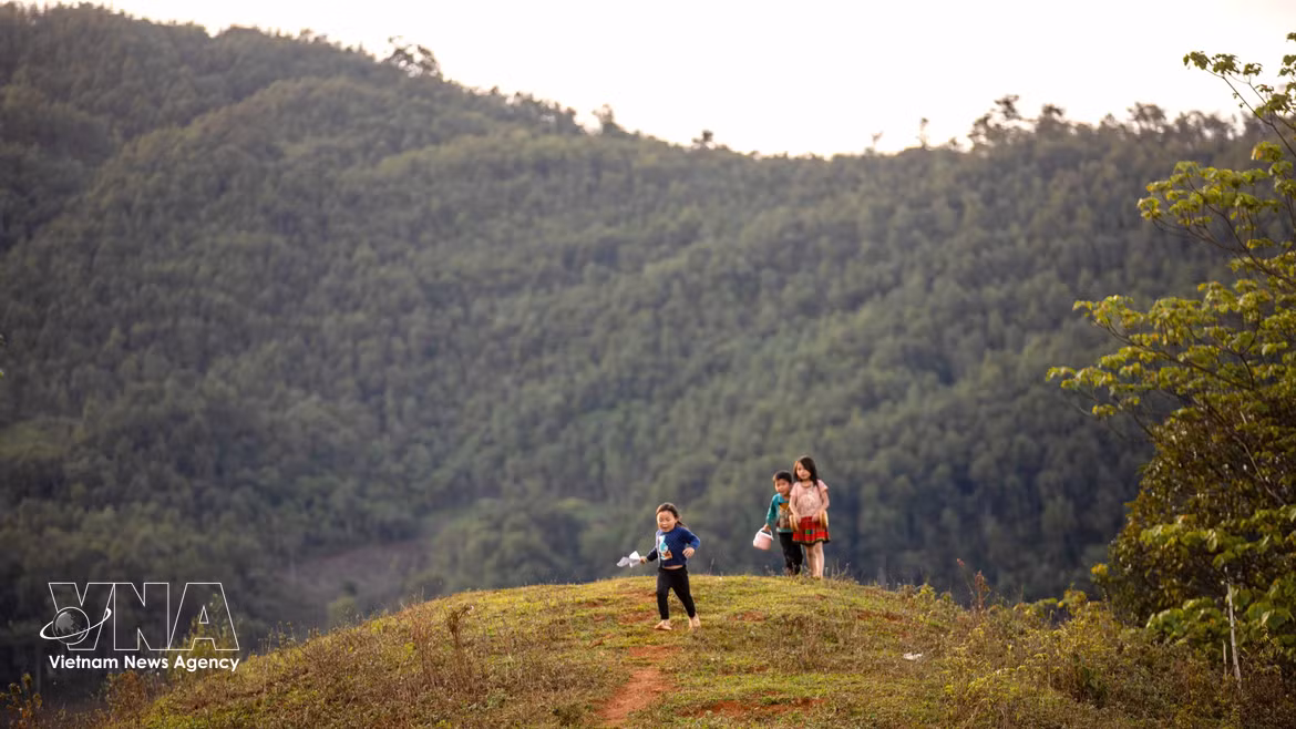 La belleza pacífica de aldea vietnamita Lang Sang