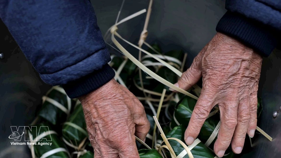 Elaboración de Banh Chung, una tradición cultural del pueblo vietnamita durante el Tet