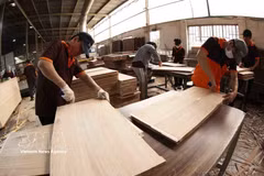 Producción de paneles de madera MDF para exportación a Estados Unidos, Australia y Tailandia en la empresa MDF Hai Duong, barrio de Tan Hiep, Ciudad Ho Chi Minh. (Foto: VNA)