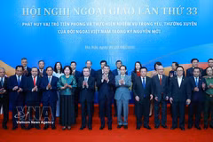El primer ministro Le Minh Hung con los delegados que asistieron a la sesión plenaria de la 33.ª Conferencia Diplomática. (Foto: VNA)