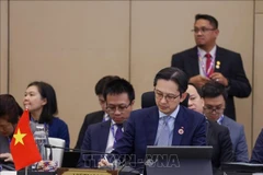 El vicecanciller Do Hung Viet y la delegación vietnamita participan en la Reunión de altos funcionarios (SOM) de la ASEAN, en el Centro de Conferencia Internacional Langkawi, Malaysia. (Foto: VNA) 