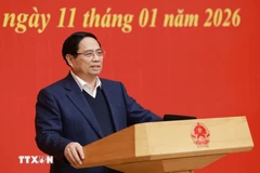 Primer ministro define cinco estrategias clave para el Comité partidista del Gobierno