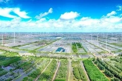 Un parque de energía eólica en la provincia de Bac Lieu. (Foto: VNA)