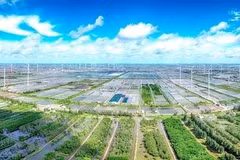 Un parque de energía eólica en la provincia de Bac Lieu. (Foto: VNA)