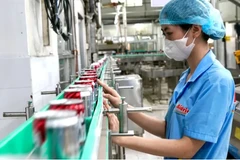 La producción en la empresa Bidrico. (Fuente: sggp.org.vn) 