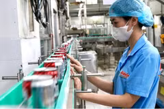 La producción en la empresa Bidrico. (Fuente: sggp.org.vn) 