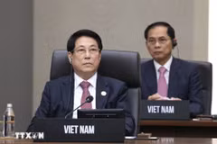 El presidente de Vietnam, Luong Cuong, durante la 32ª Reunión de Líderes Económicos del Foro de Cooperación Asia-Pacífico (APEC). (Fuente: VNA)