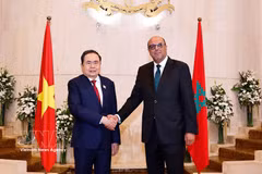 El presidente de la Asamblea Nacional de Vietnam, Tran Thanh Man, se reúne con el titular de la Cámara de Consejeros, Mohamed Ould Errachid, el 25 de julio de 2025 (Fuente: VNA) 