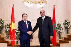 El presidente de la Asamblea Nacional de Vietnam, Tran Thanh Man, se reúne con el titular de la Cámara de Consejeros, Mohamed Ould Errachid, el 25 de julio de 2025 (Fuente: VNA) 
