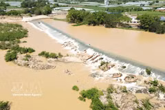 La presa Nha Trinh (comuna de My Son) fue construida en una zona de corriente estable para aumentar su capacidad de resistencia frente a las crecidas, lo que constituye una prueba de la experiencia hidráulica del antiguo pueblo cham. (Foto: VNA)