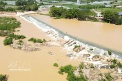 La presa Nha Trinh (comuna de My Son) fue construida en una zona de corriente estable para aumentar su capacidad de resistencia frente a las crecidas, lo que constituye una prueba de la experiencia hidráulica del antiguo pueblo cham. (Foto: VNA)