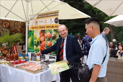 Un cliente checo intercambia con una empresa vietnamita de viaje en el evento (Fuente: VNA) 