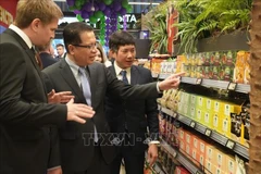 El embajador de Vietnam en Rusia, Dang Minh Khoi, visita los stands de Vietnam (Fuente: VNA) 
