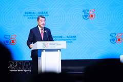 Premier destaca cadenas de suministro, energía e innovación como prioridades para cooperación ASEAN-Rusia