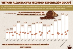 Vietnam alcanza cifra récord en exportación de café 