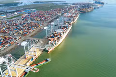Manipulación de contenedores en un puerto marítimo de la Corporación Marítima de Vietnam. (Foto: PV/Vietnam+)