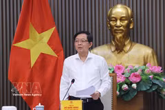 El viceprimer ministro de Vietnam, Ho Quoc Dung, preside la reunión (Fuente: VNA)